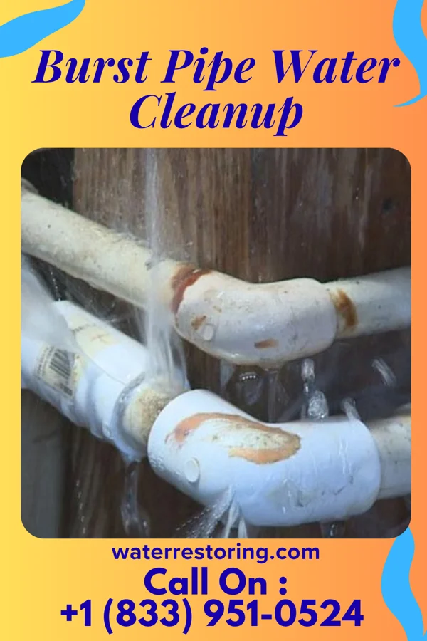 Burst Pipe Water Cleanup in Monaca, PA