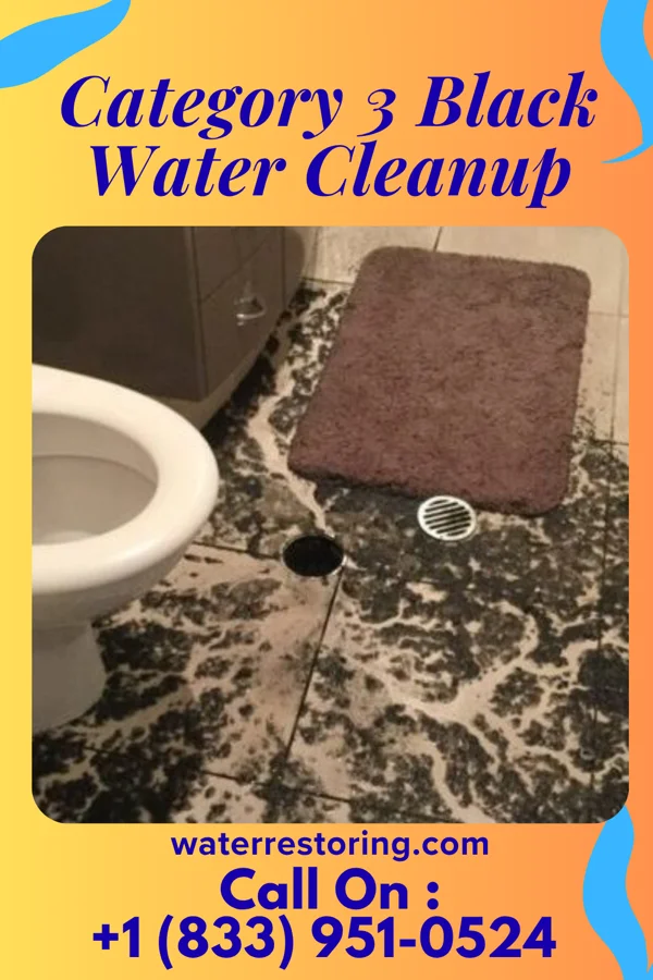 Category 3 Black Water Cleanup in Monaca, PA