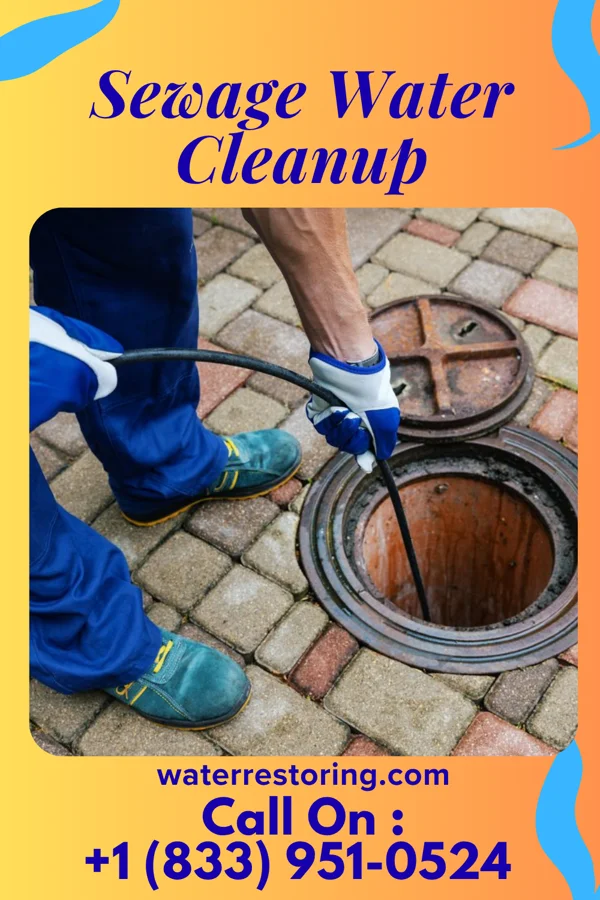 Sewage Water Cleanup in Monaca, PA